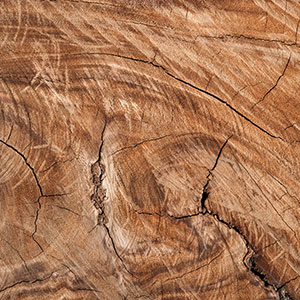 Wood